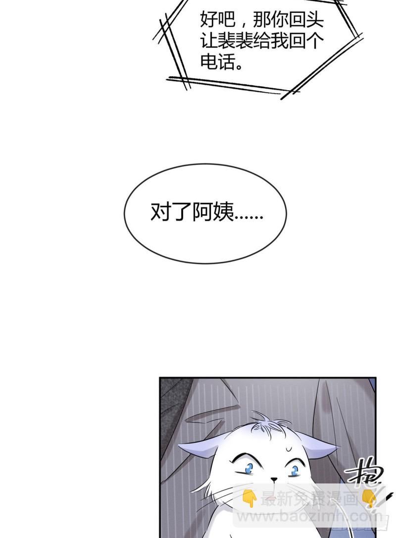 《今天也要努力当只猫》第37话 你就是裴臻 第37页