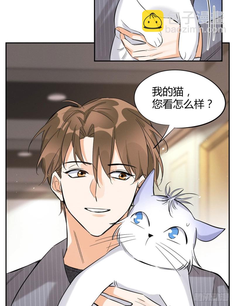 《今天也要努力当只猫》第37话 你就是裴臻 第38页