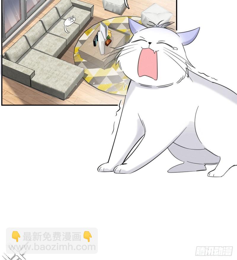 《今天也要努力当只猫》第37话 你就是裴臻 第4页
