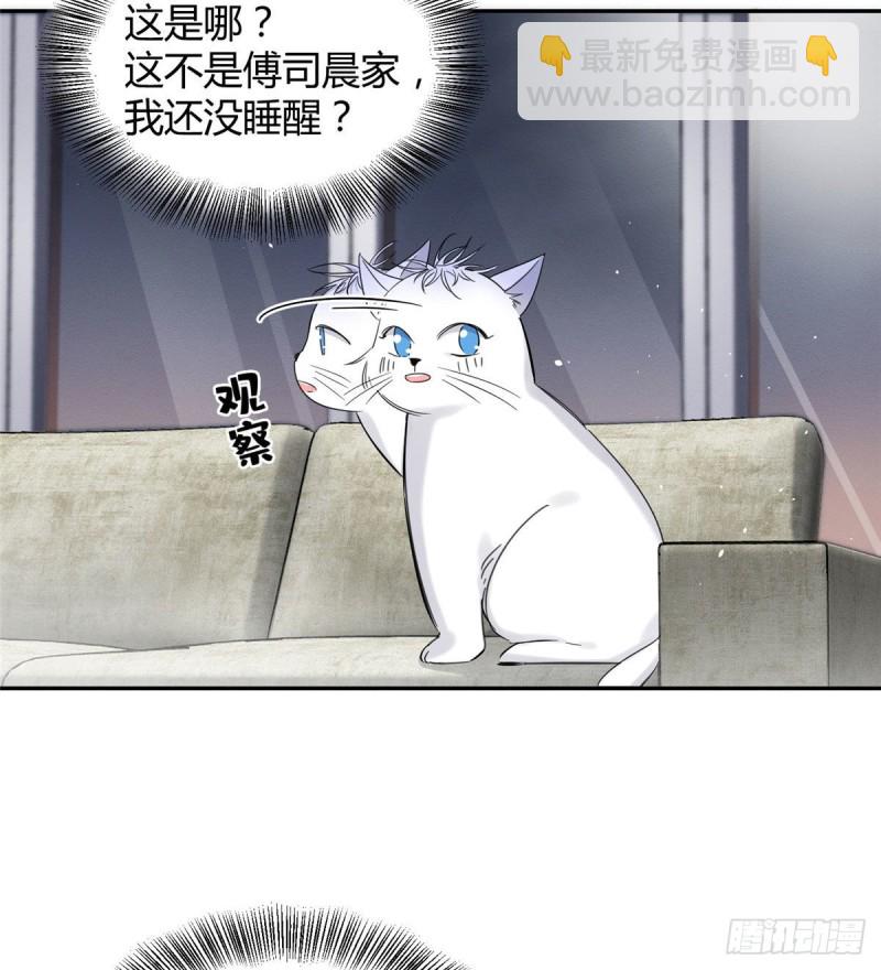 《今天也要努力当只猫》第37话 你就是裴臻 第8页