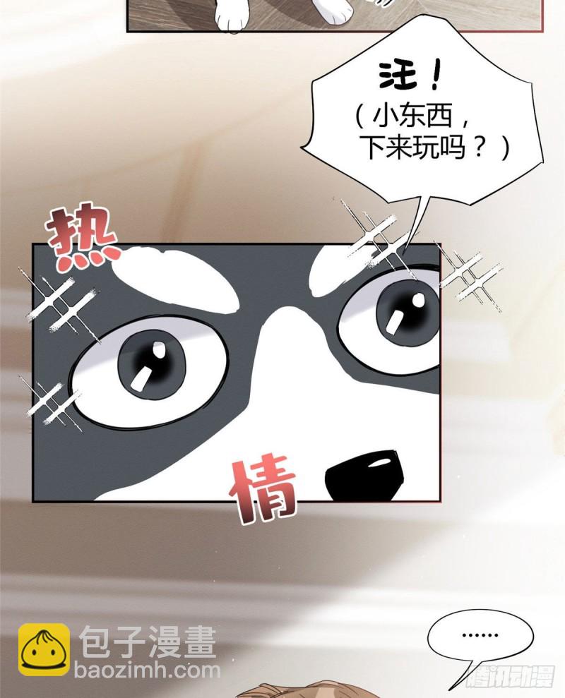 《今天也要努力当只猫》第39话 吃亿口 第16页