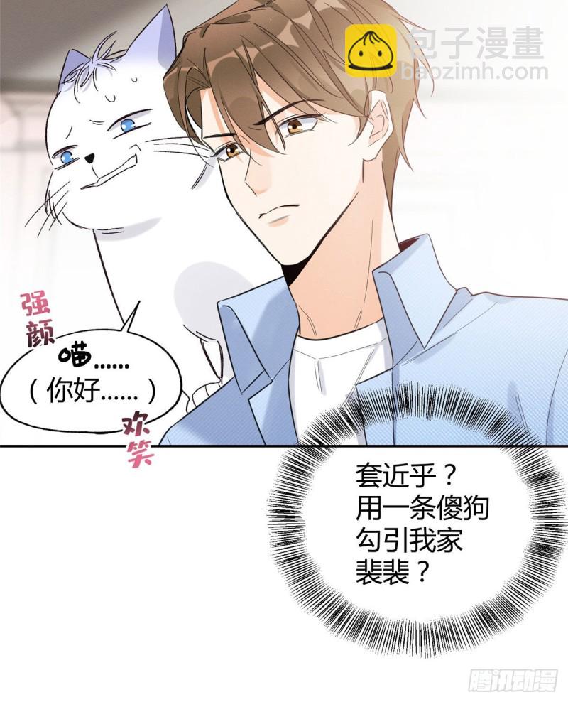 《今天也要努力当只猫》第39话 吃亿口 第17页