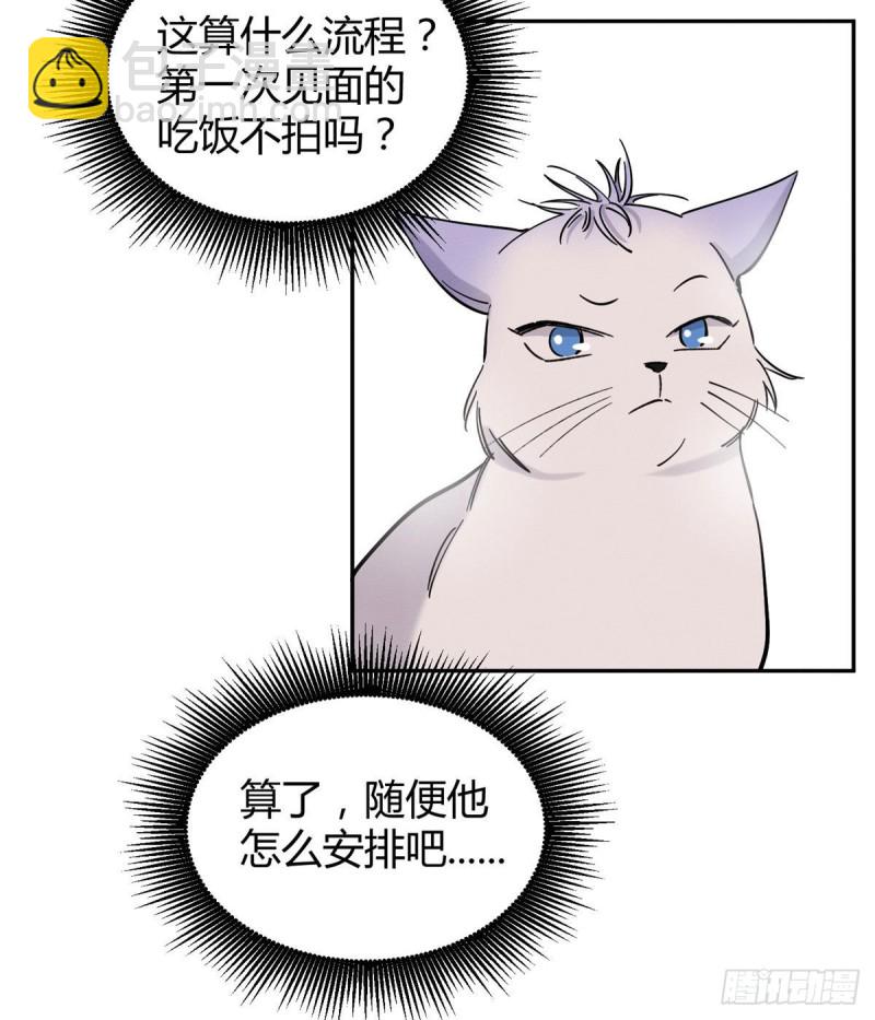 《今天也要努力当只猫》第39话 吃亿口 第25页