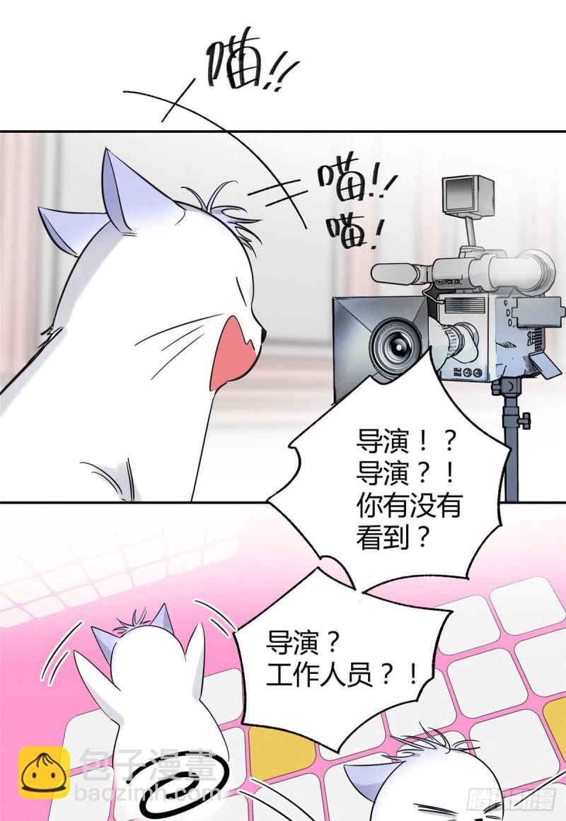 《今天也要努力当只猫》第39话 吃亿口 第37页