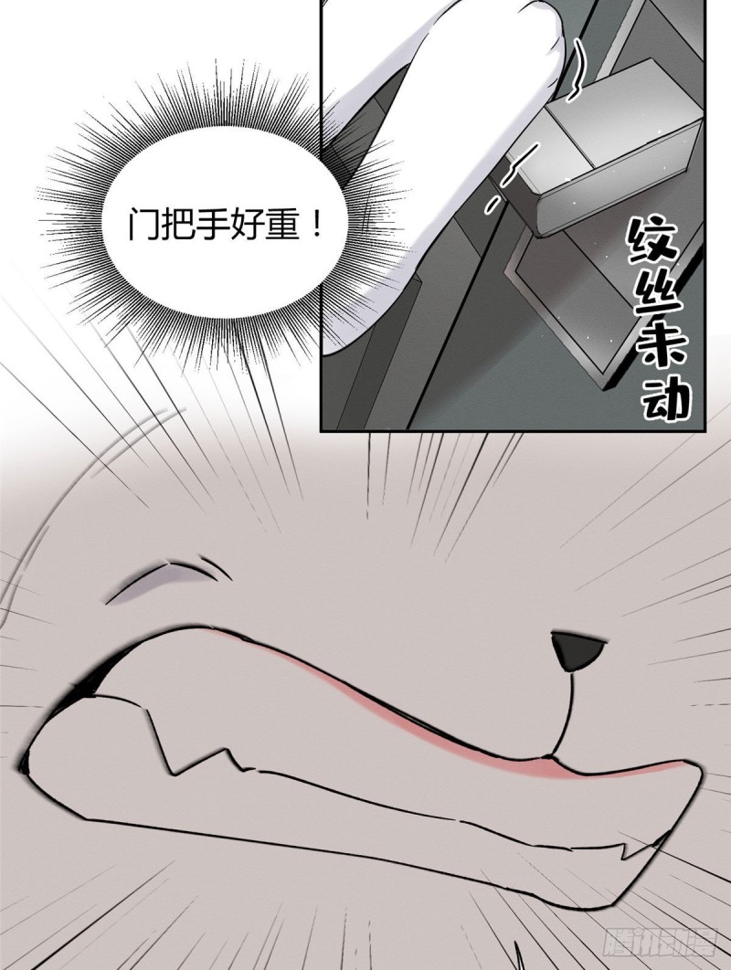 《今天也要努力当只猫》第39话 吃亿口 第43页