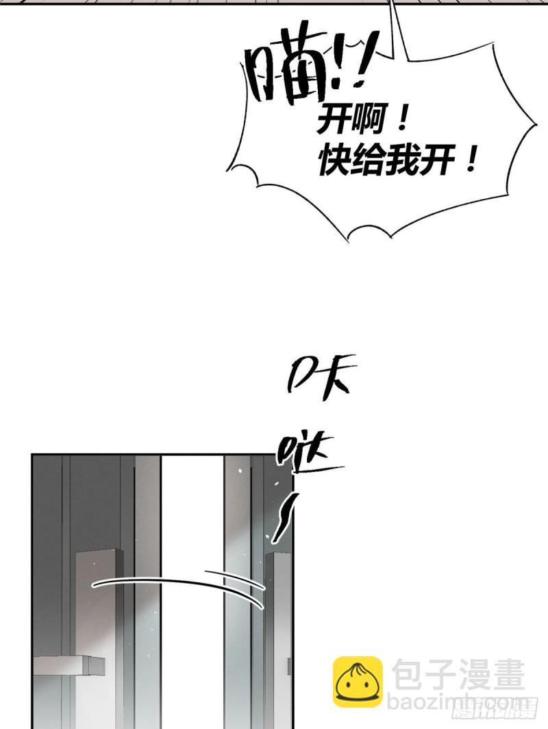 《今天也要努力当只猫》第39话 吃亿口 第44页
