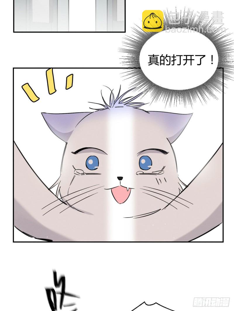 《今天也要努力当只猫》第39话 吃亿口 第45页