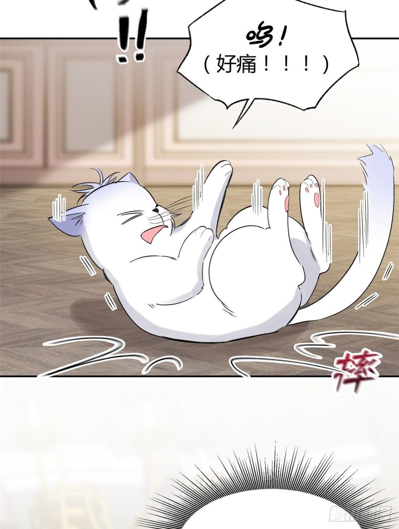 《今天也要努力当只猫》第39话 吃亿口 第46页