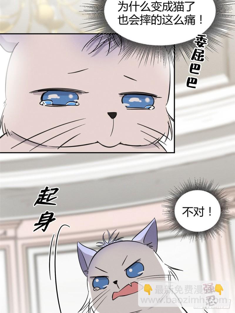 《今天也要努力当只猫》第39话 吃亿口 第47页