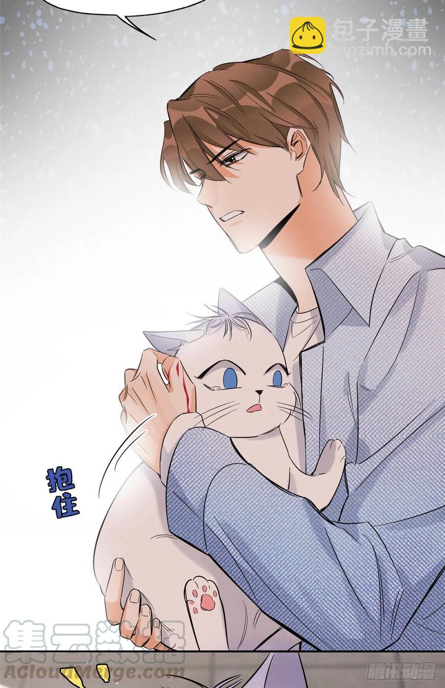 《今天也要努力当只猫》第40话 舔一舔 第11页