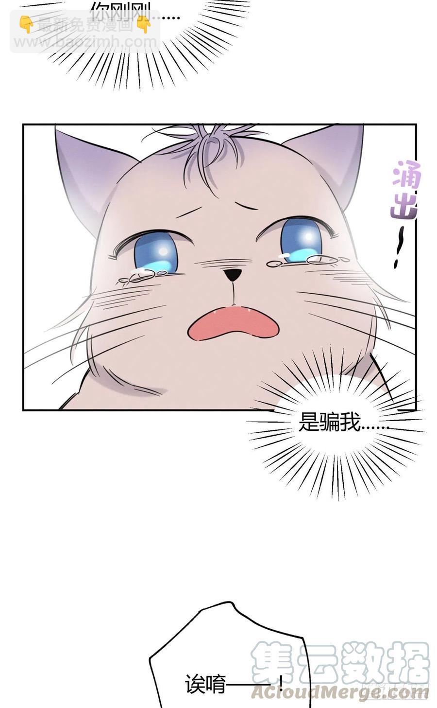 《今天也要努力当只猫》第40话 舔一舔 第13页