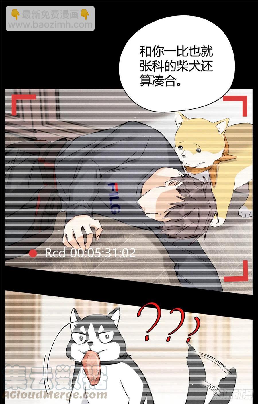 《今天也要努力当只猫》第40话 舔一舔 第19页
