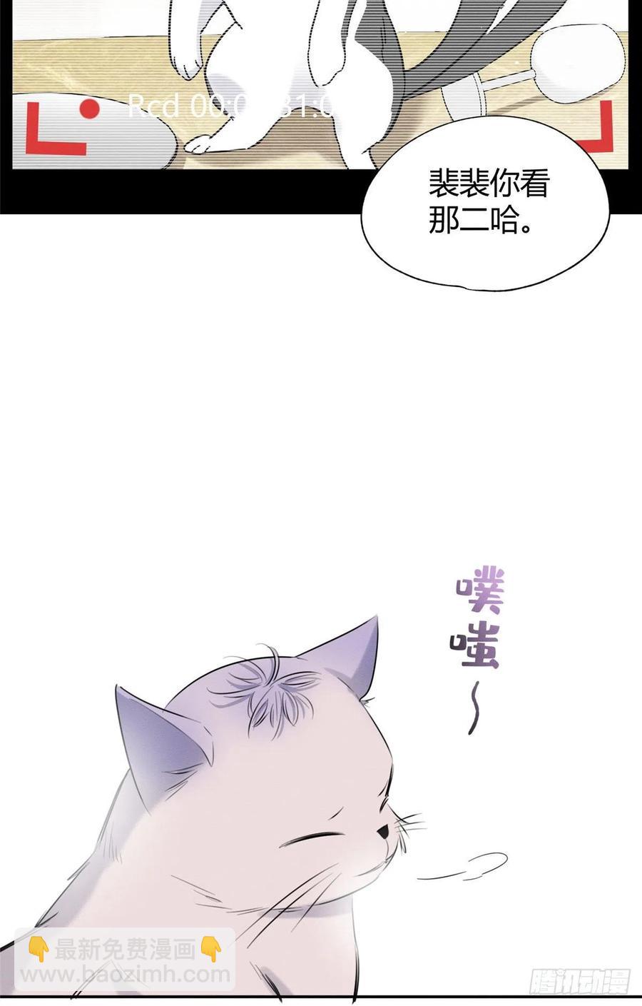 《今天也要努力当只猫》第40话 舔一舔 第20页