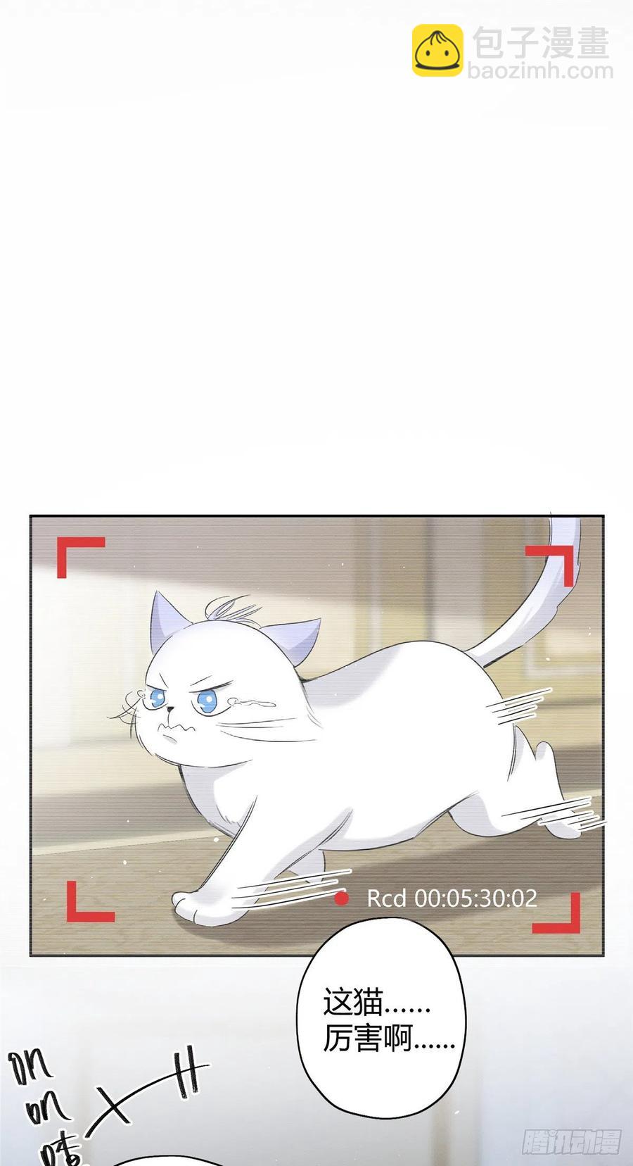 《今天也要努力当只猫》第40话 舔一舔 第2页