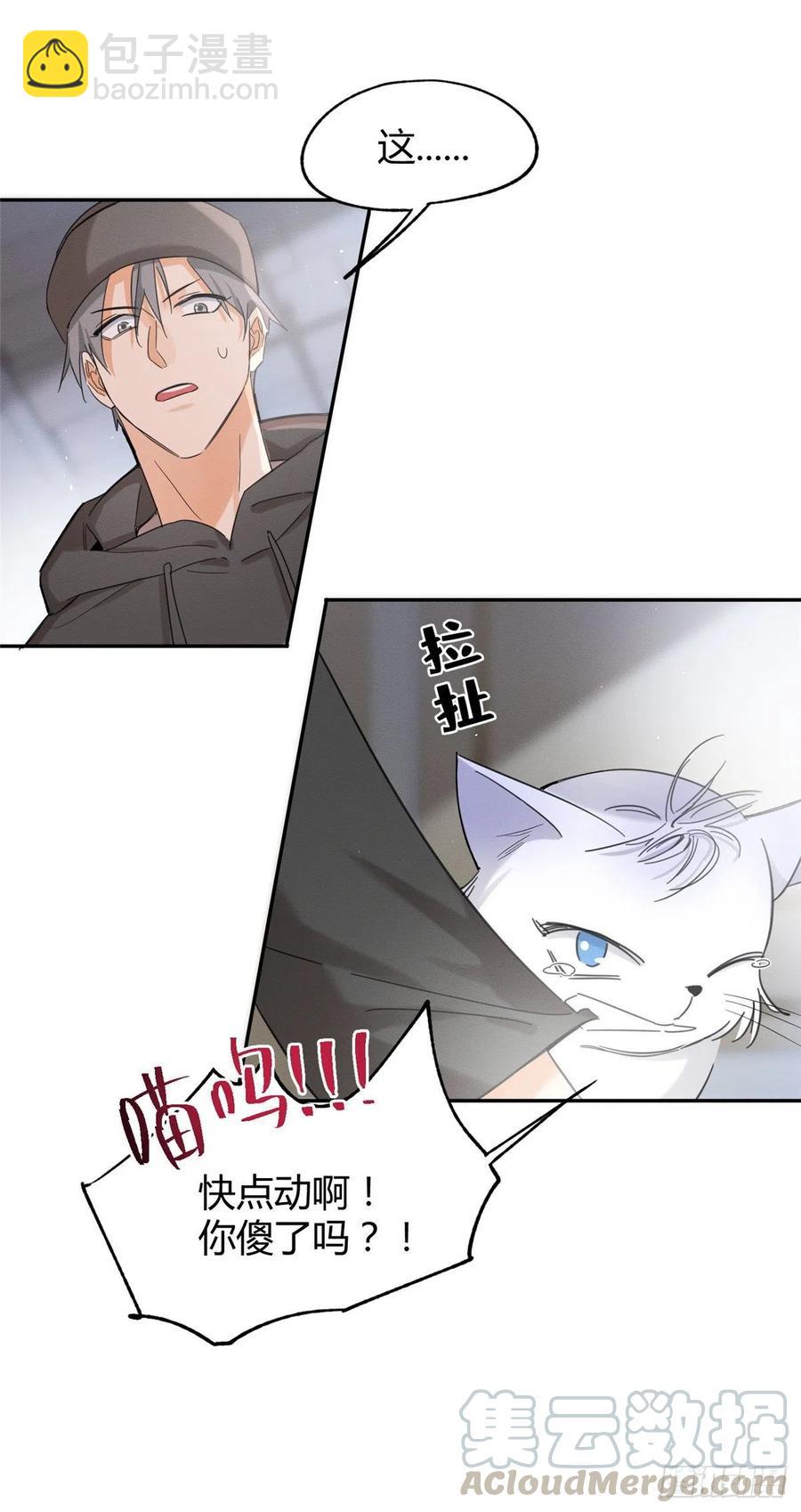 《今天也要努力当只猫》第40话 舔一舔 第7页