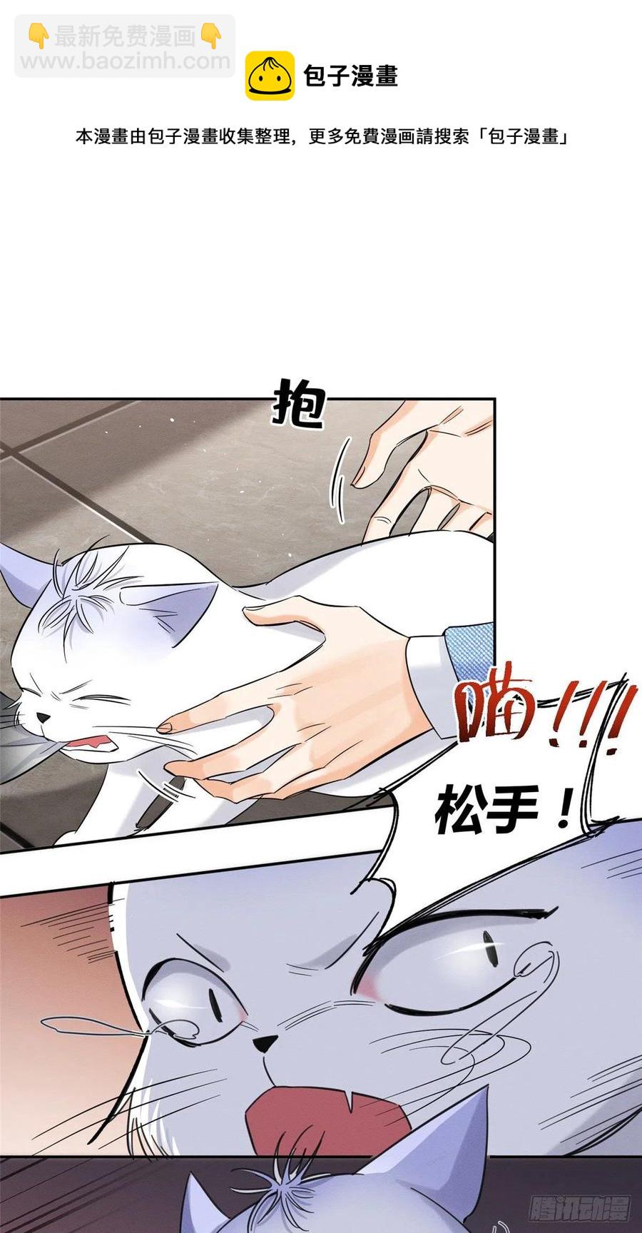 《今天也要努力当只猫》第40话 舔一舔 第8页