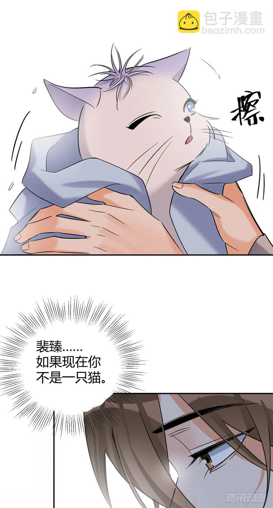 《今天也要努力当只猫》第43话他喜欢我吗 第18页