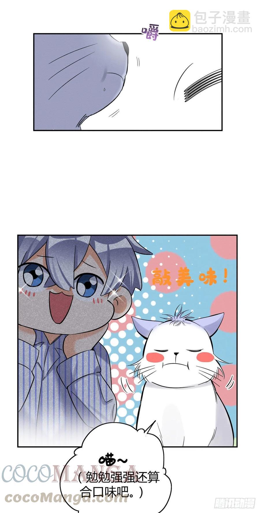《今天也要努力当只猫》第43话他喜欢我吗 第9页