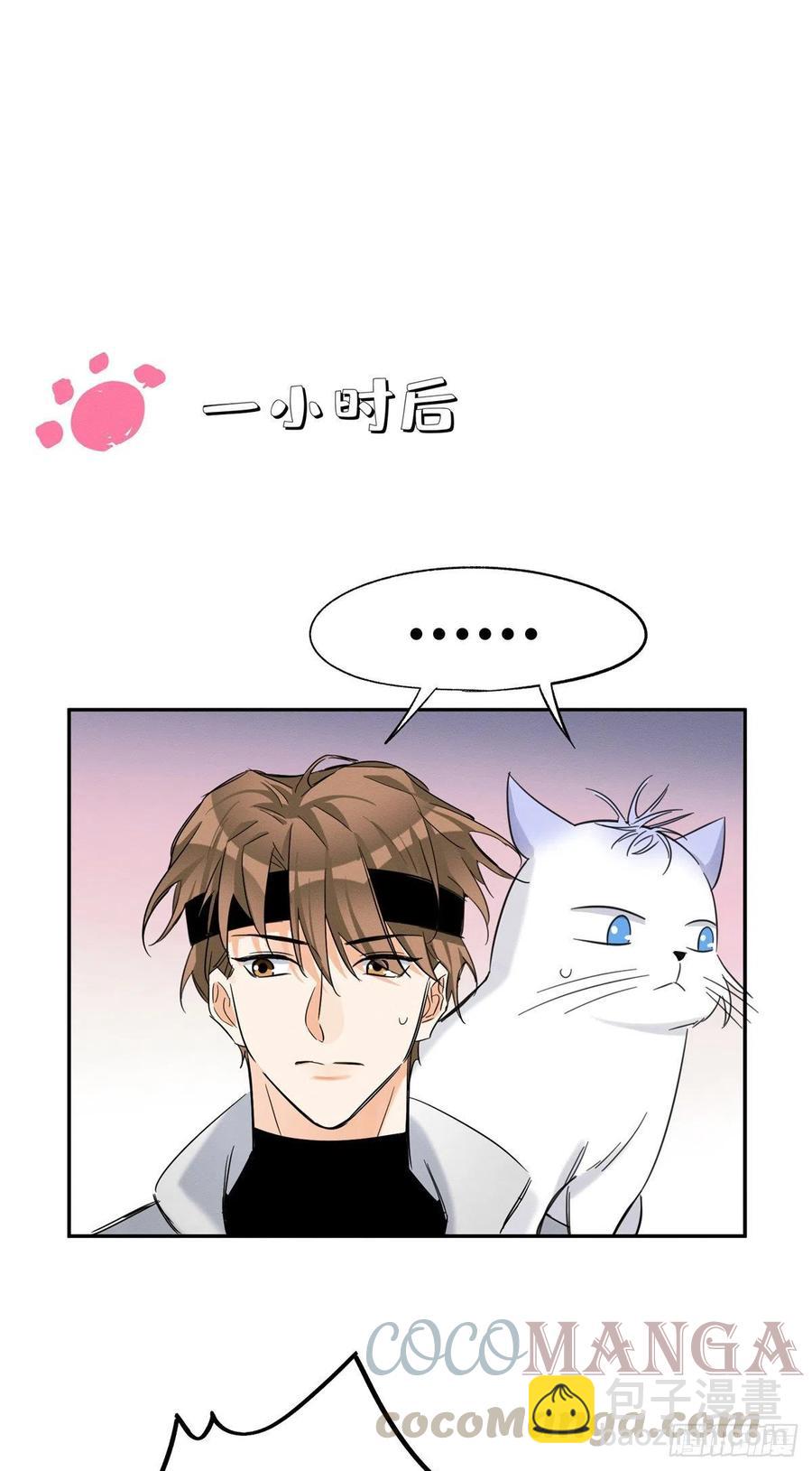 《今天也要努力当只猫》第42话 喜欢的模样 第10页