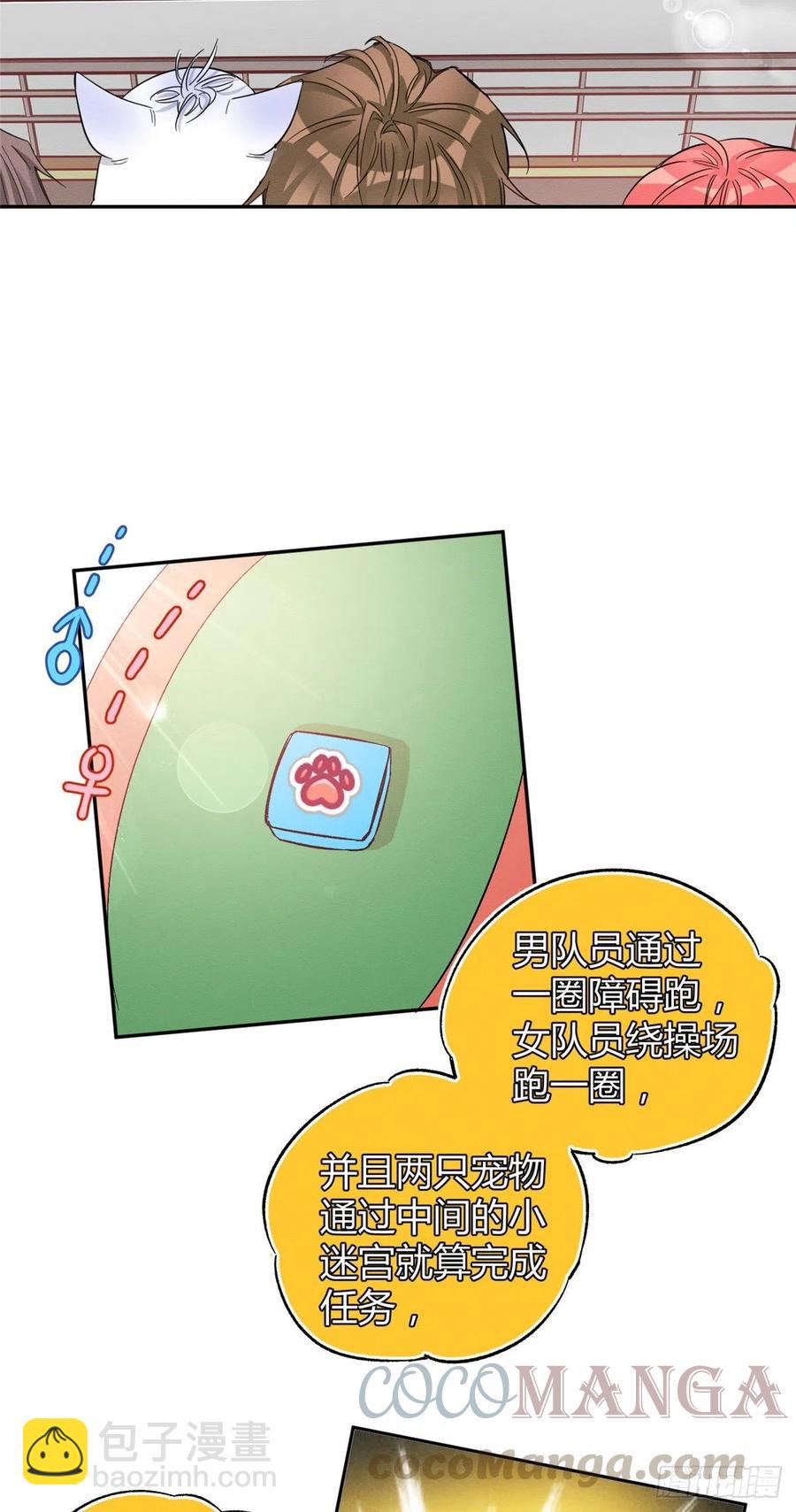《今天也要努力当只猫》第42话 喜欢的模样 第13页