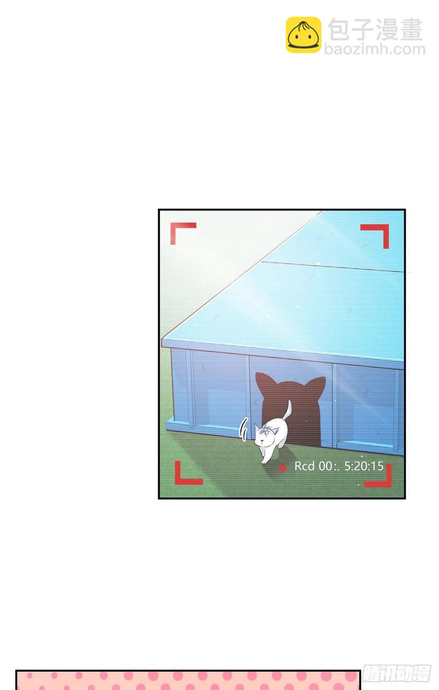 《今天也要努力当只猫》第42话 喜欢的模样 第23页