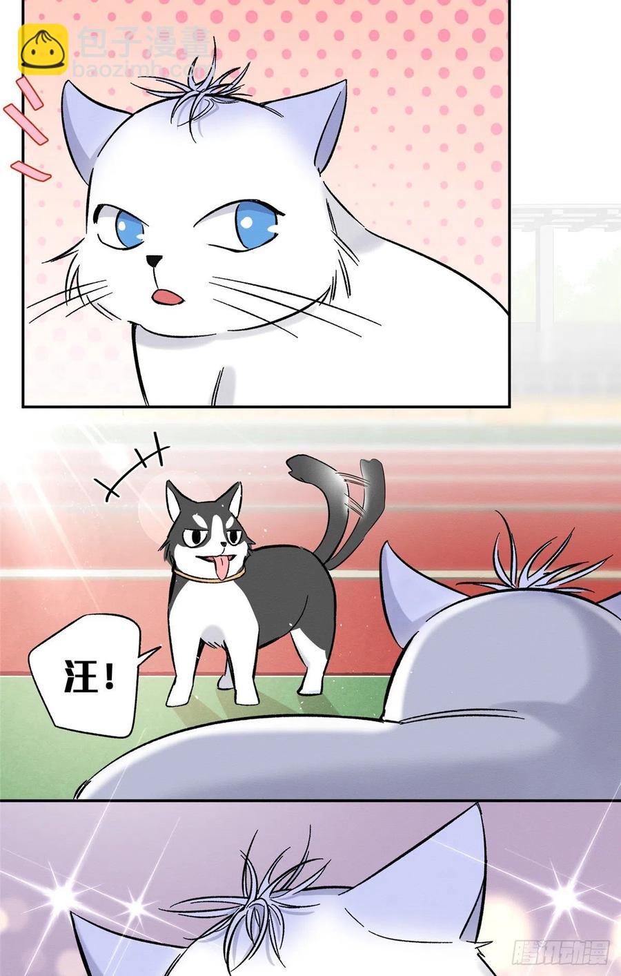 《今天也要努力当只猫》第42话 喜欢的模样 第24页