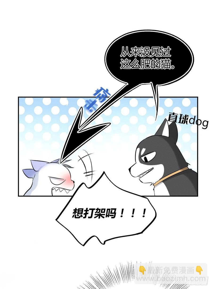 《今天也要努力当只猫》第42话 喜欢的模样 第26页