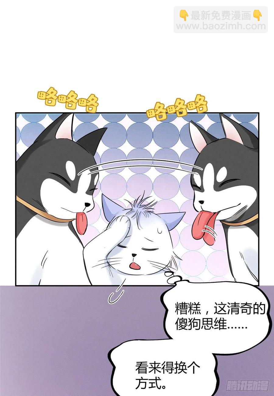 《今天也要努力当只猫》第42话 喜欢的模样 第29页