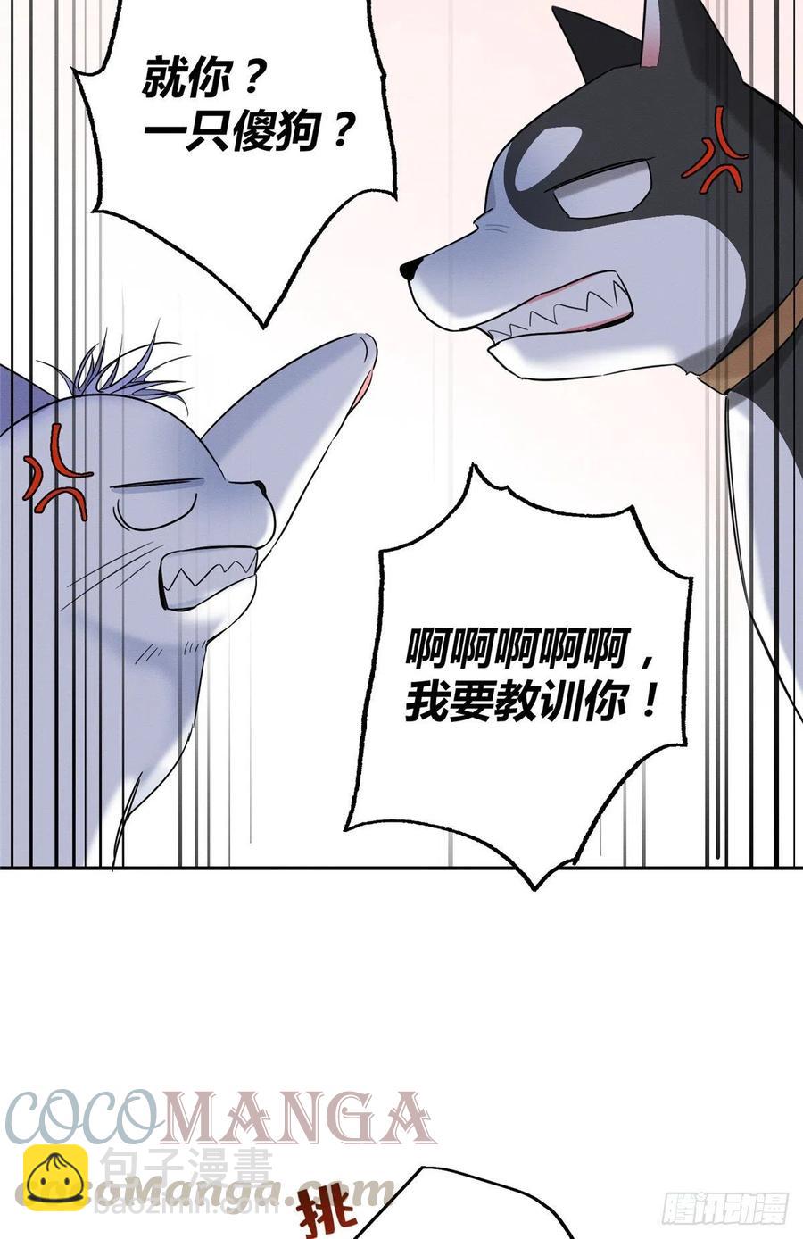 《今天也要努力当只猫》第42话 喜欢的模样 第31页