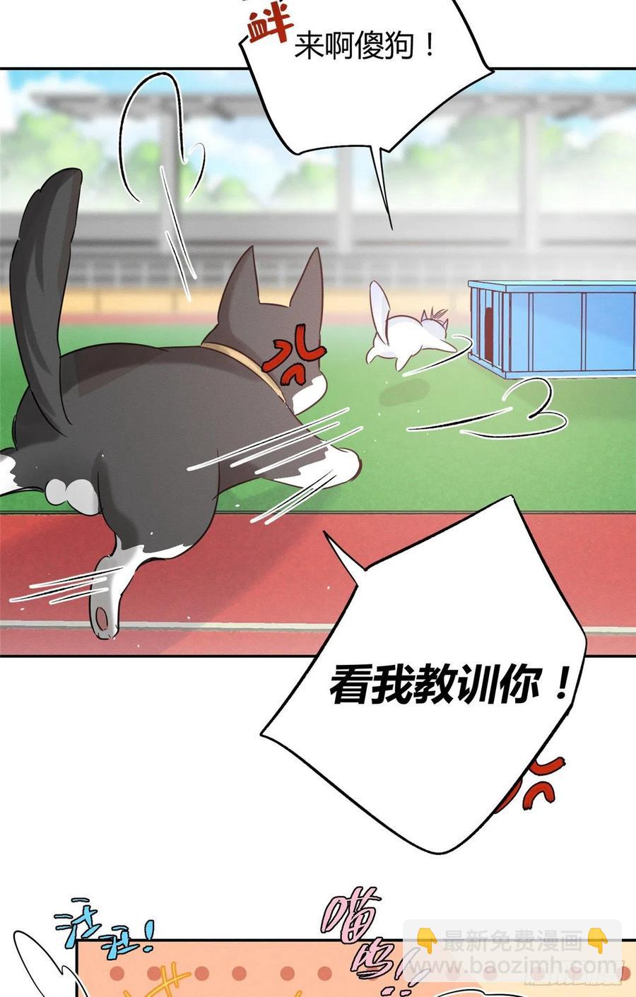 《今天也要努力当只猫》第42话 喜欢的模样 第32页