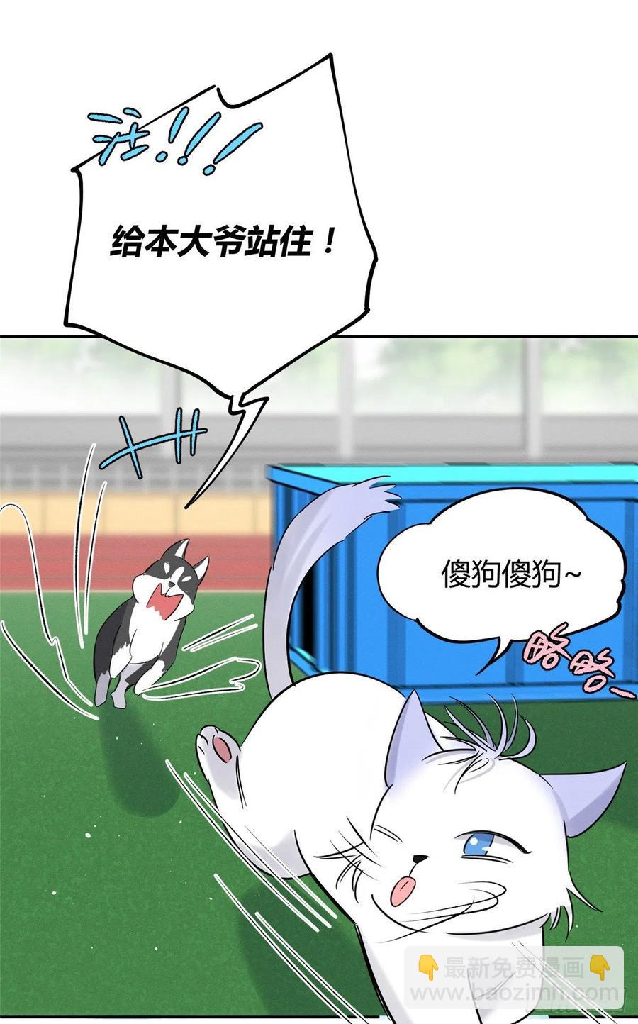 《今天也要努力当只猫》第42话 喜欢的模样 第35页
