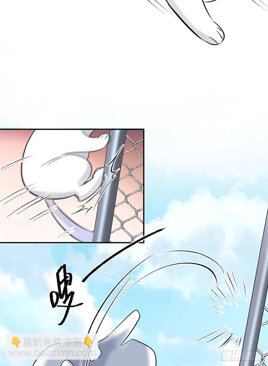 《今天也要努力当只猫》第42话 喜欢的模样 第36页
