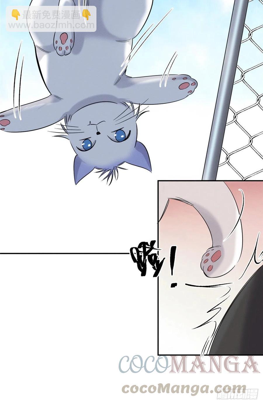 《今天也要努力当只猫》第42话 喜欢的模样 第37页