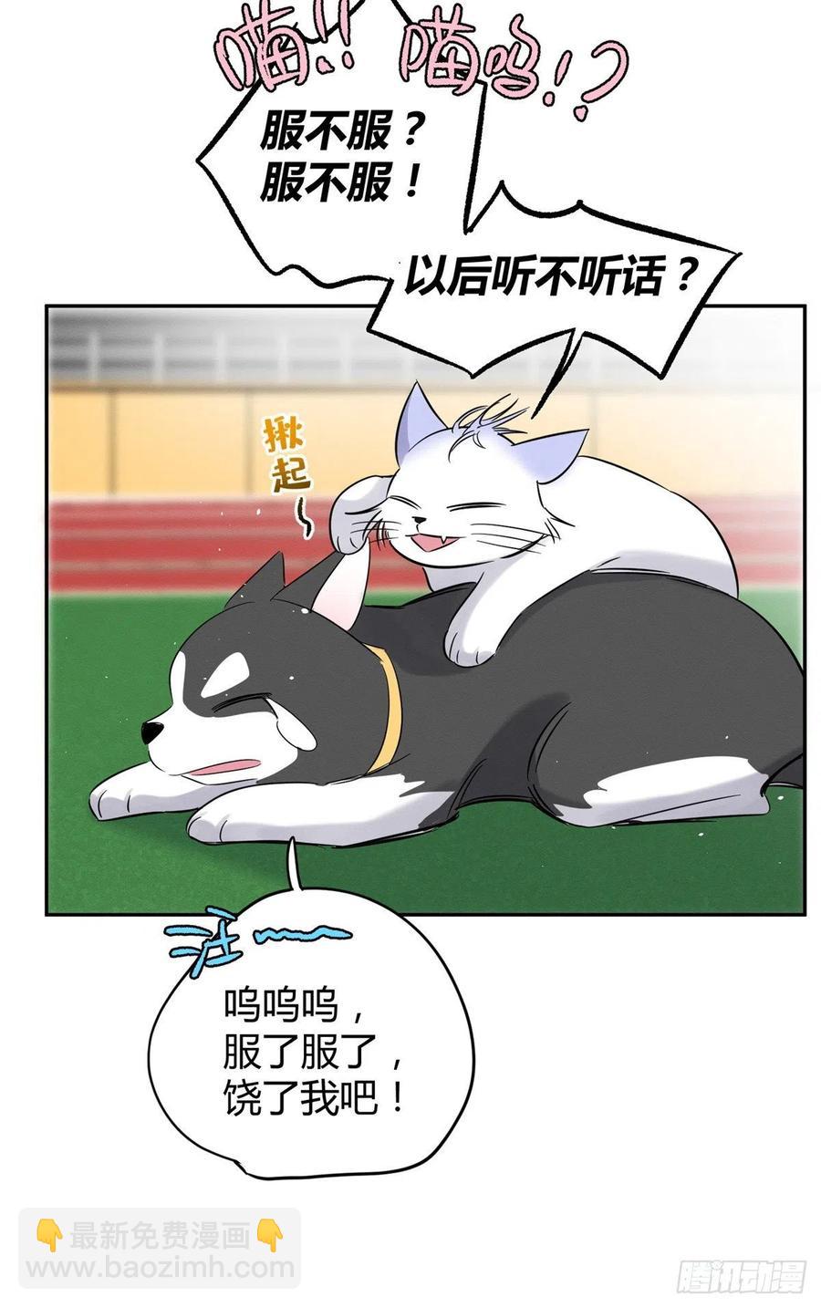 《今天也要努力当只猫》第42话 喜欢的模样 第39页