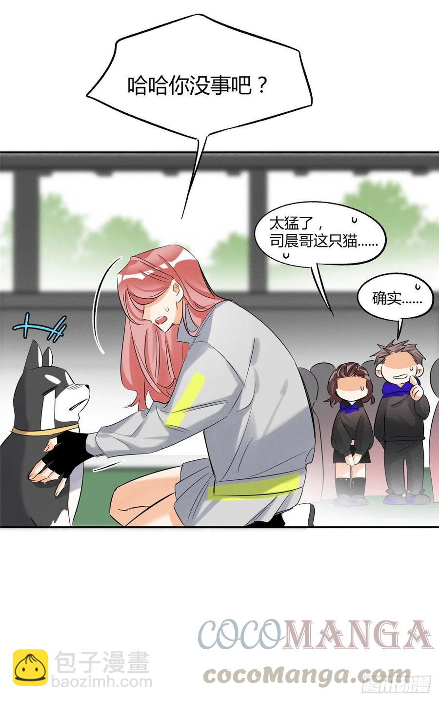 《今天也要努力当只猫》第42话 喜欢的模样 第40页