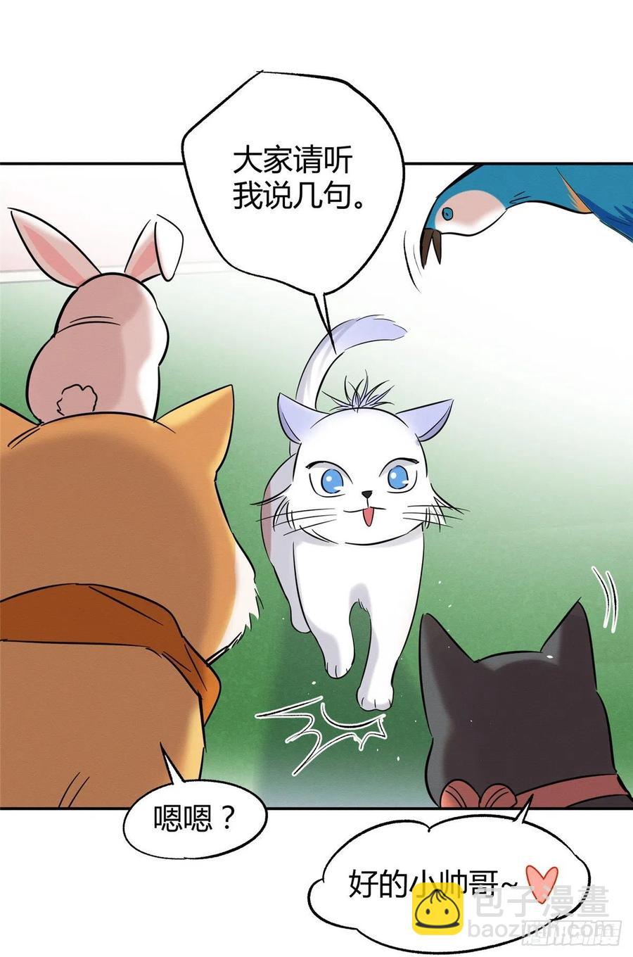 《今天也要努力当只猫》第42话 喜欢的模样 第41页