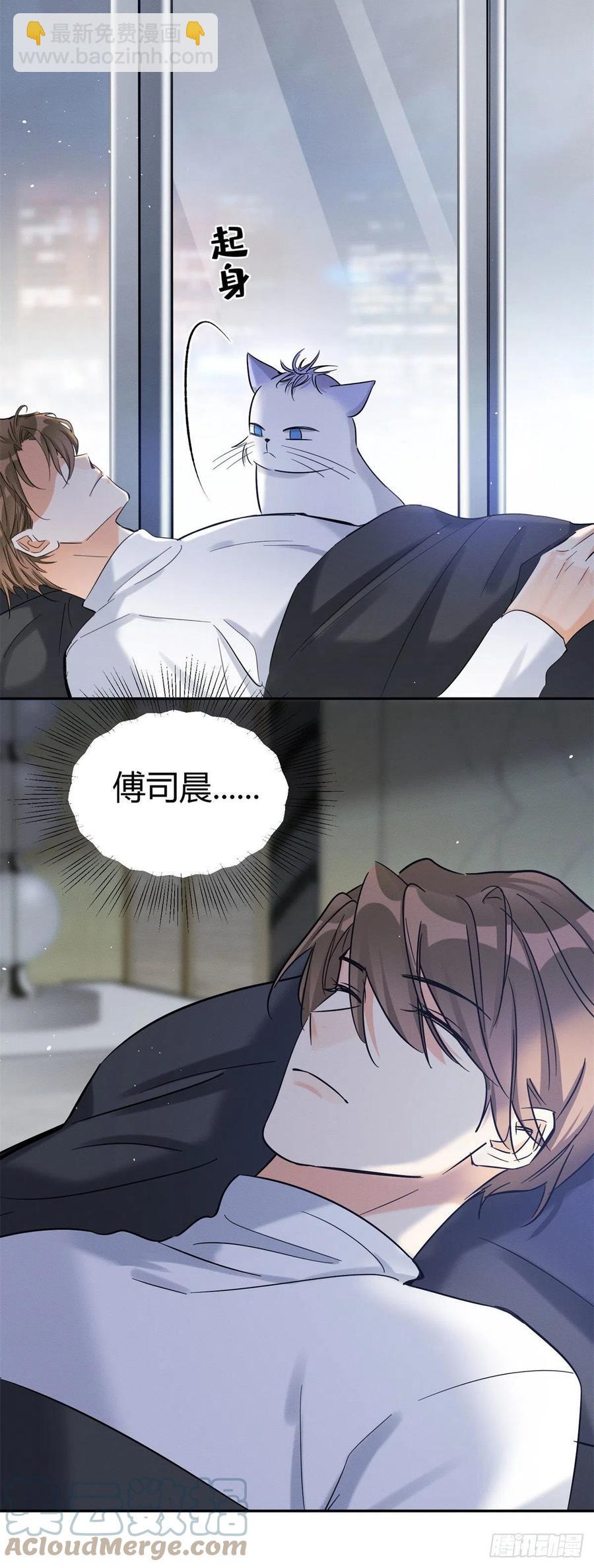 《今天也要努力当只猫》第44话 喜欢的是谁呢 第13页