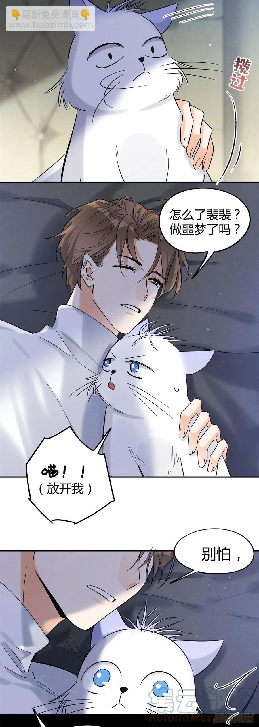 《今天也要努力当只猫》第44话 喜欢的是谁呢 第15页