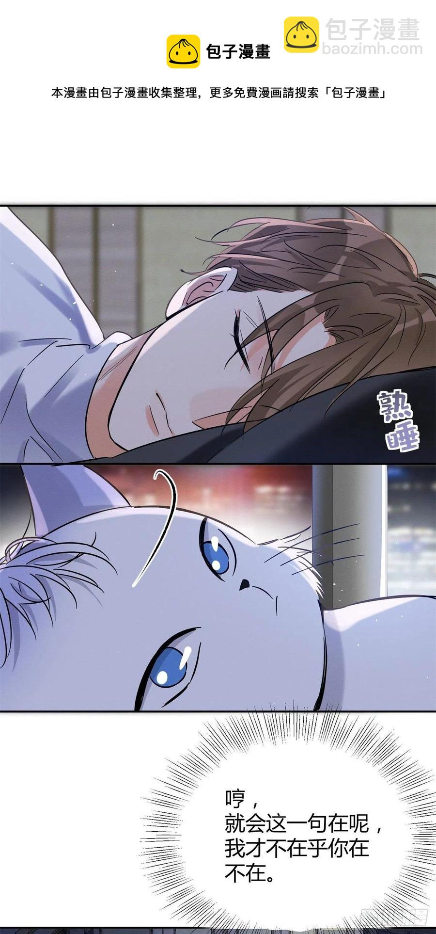 《今天也要努力当只猫》第44话 喜欢的是谁呢 第20页