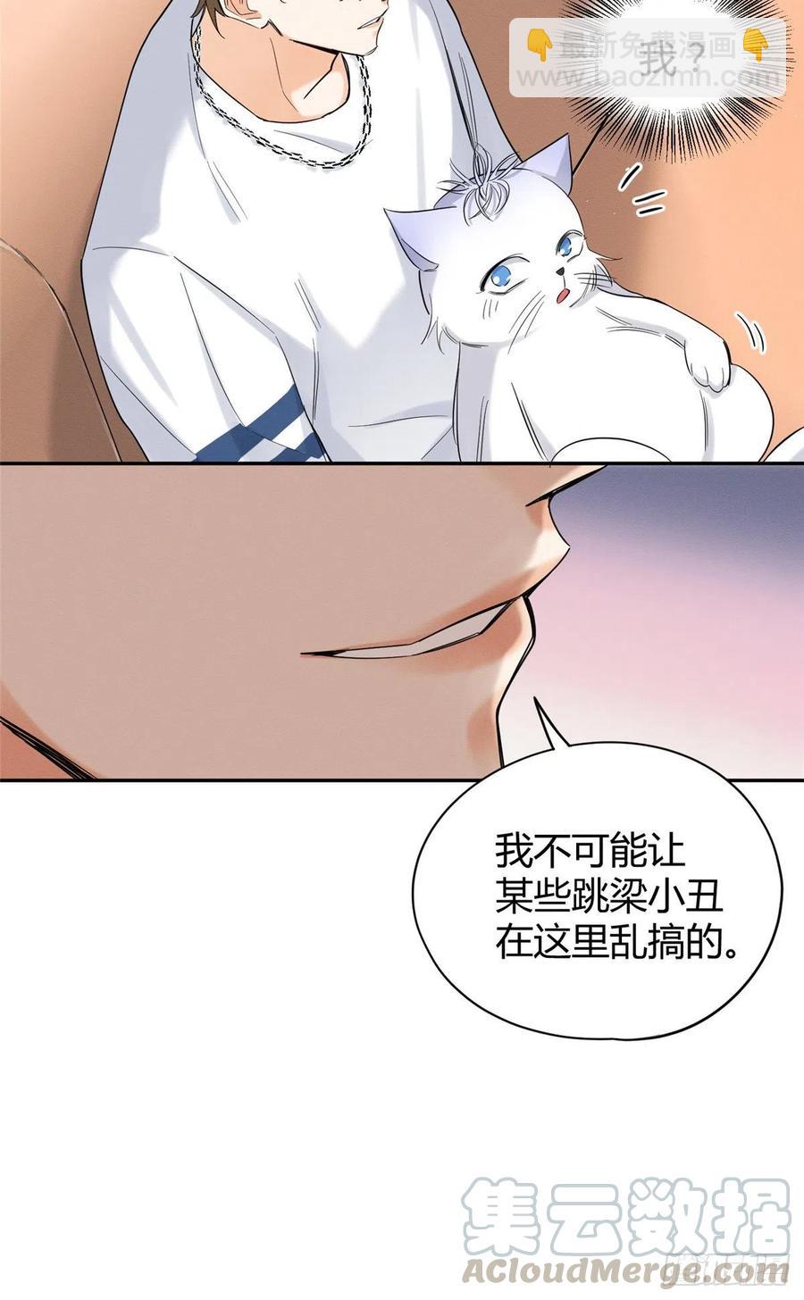 《今天也要努力当只猫》第41话 喜欢哪一个呢 第17页
