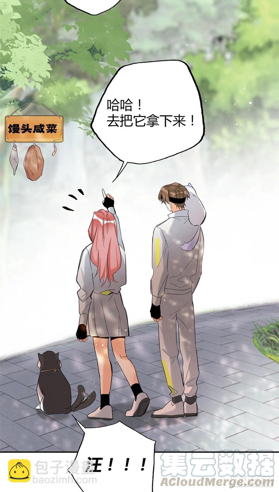 《今天也要努力当只猫》第41话 喜欢哪一个呢 第27页