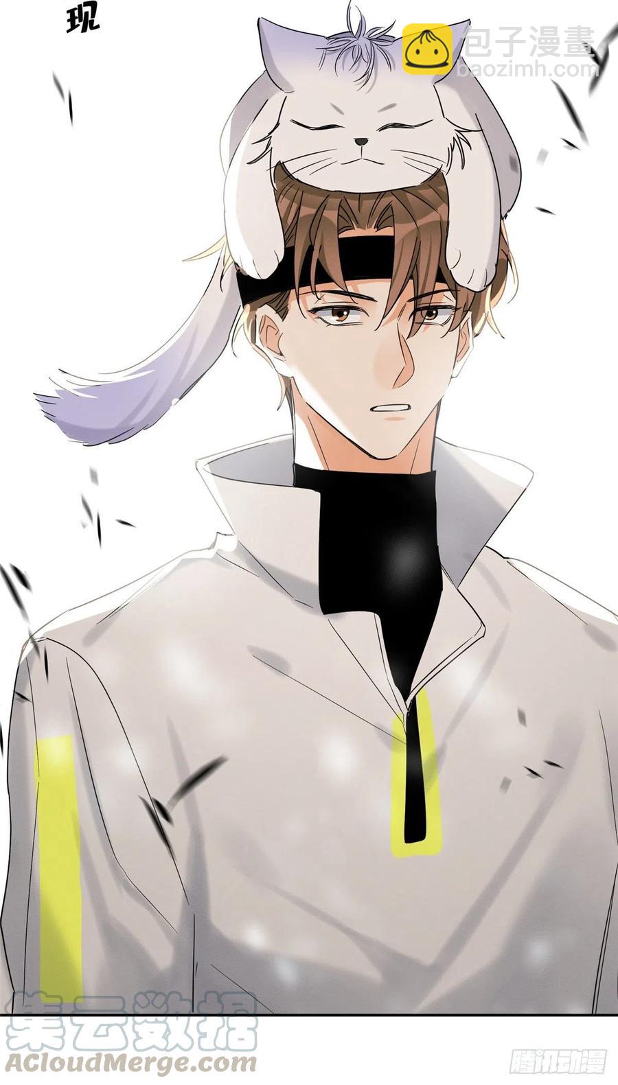 《今天也要努力当只猫》第41话 喜欢哪一个呢 第35页