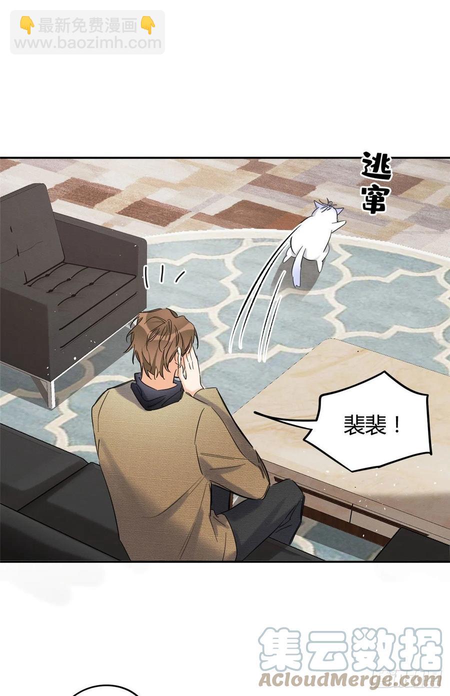 《今天也要努力当只猫》第46话 他舔我！ 第13页
