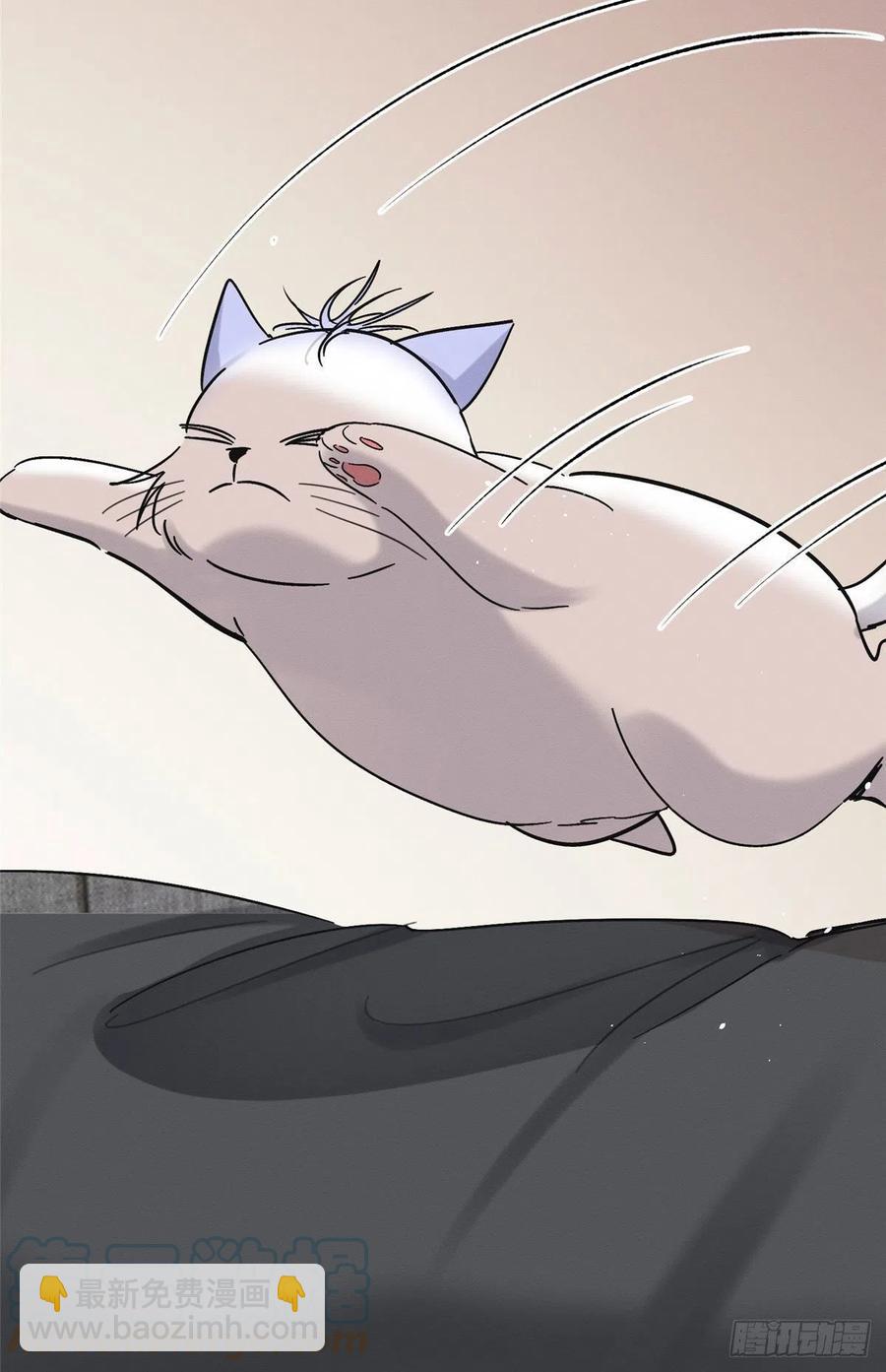 《今天也要努力当只猫》第46话 他舔我！ 第16页