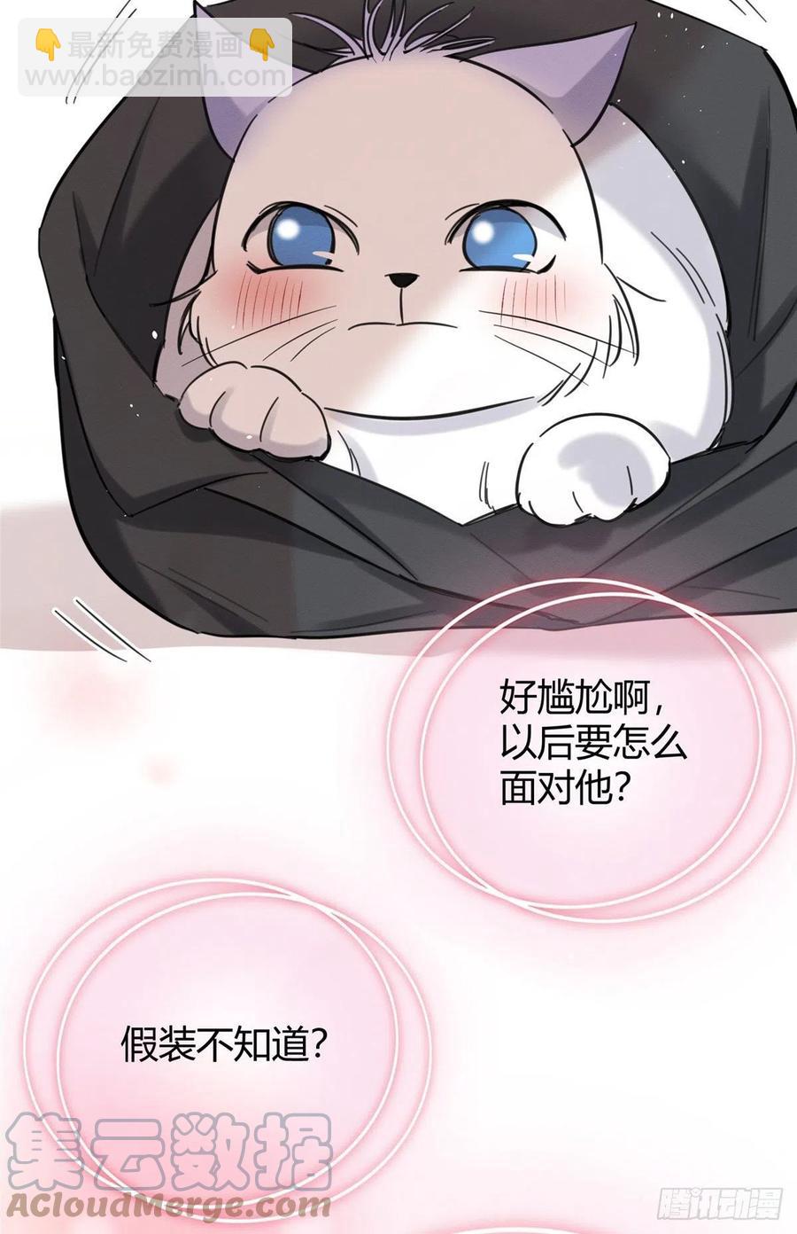 《今天也要努力当只猫》第46话 他舔我！ 第19页
