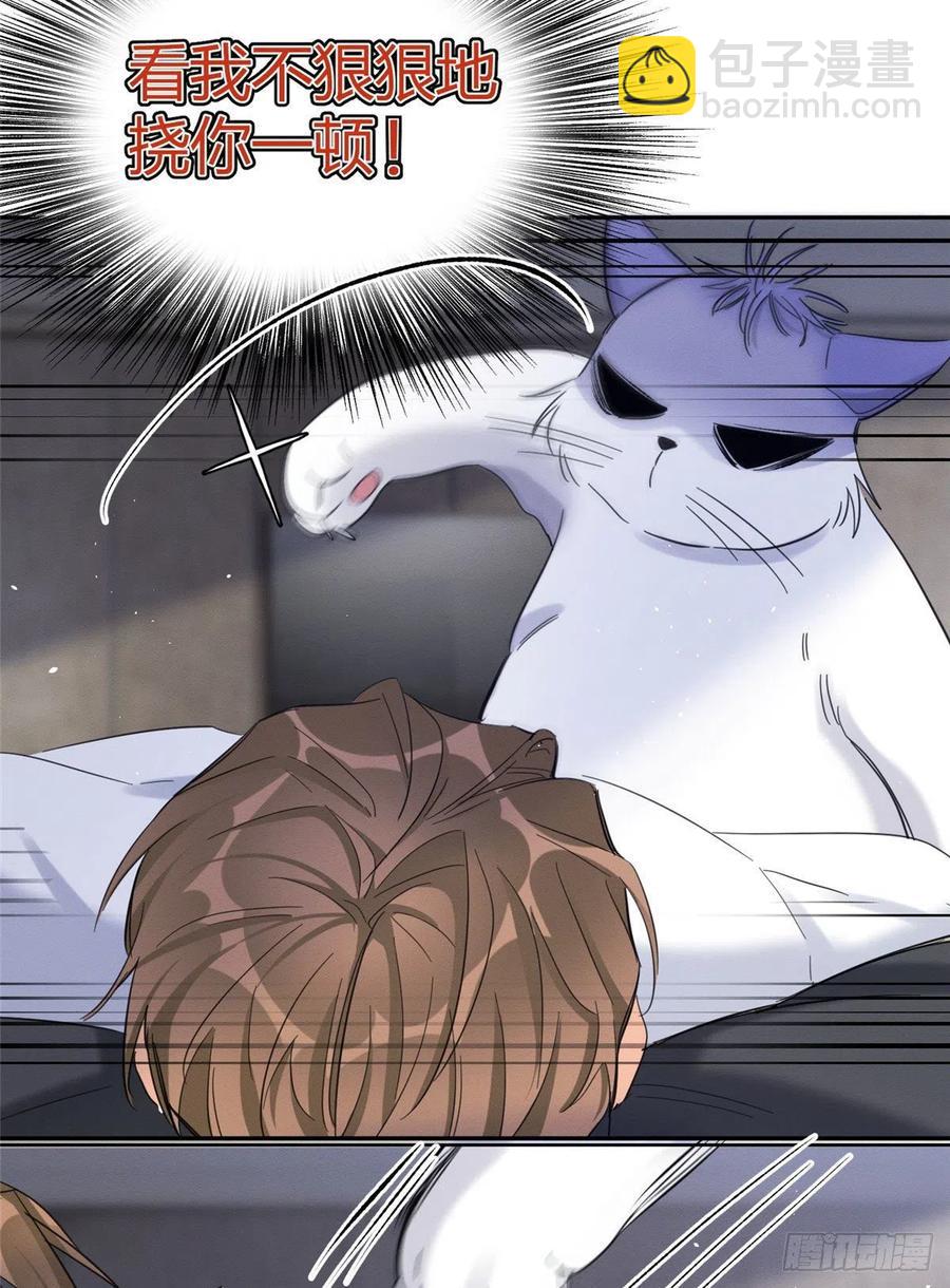 《今天也要努力当只猫》第46话 他舔我！ 第27页