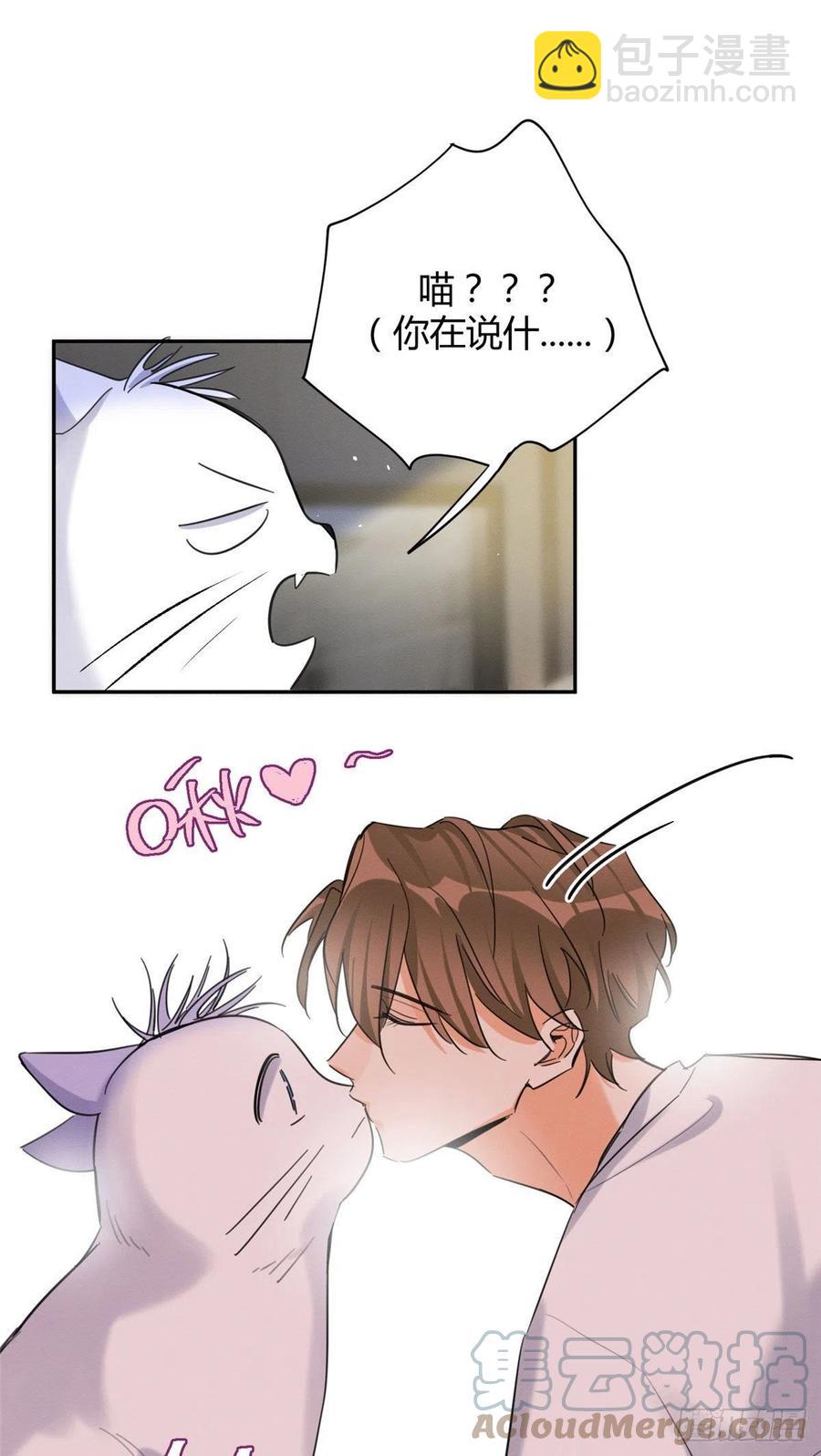 《今天也要努力当只猫》第46话 他舔我！ 第37页