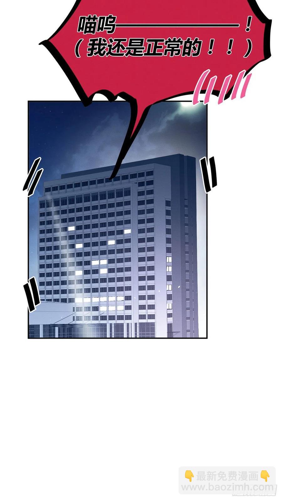 《今天也要努力当只猫》第46话 他舔我！ 第41页