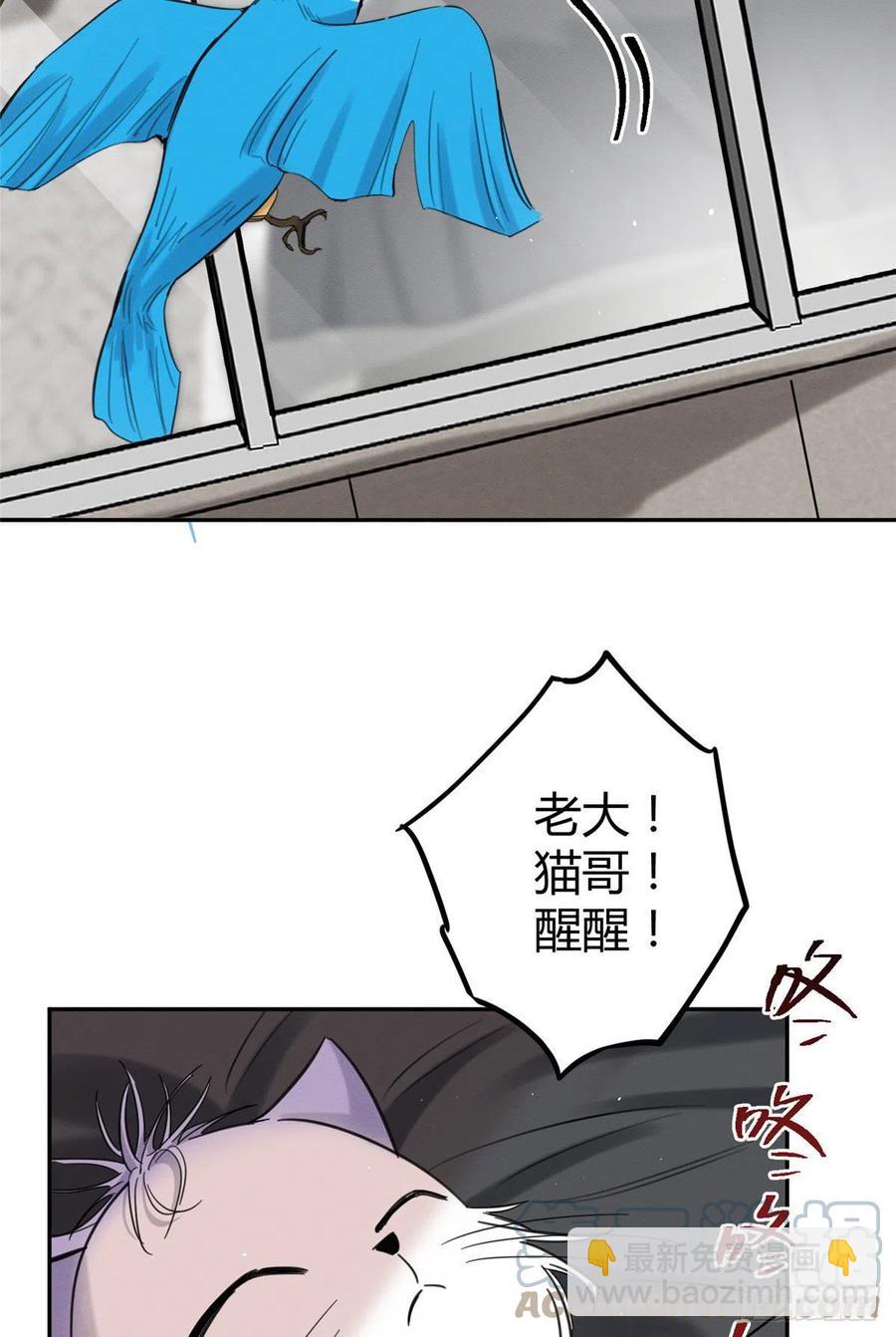《今天也要努力当只猫》第46话 他舔我！ 第43页