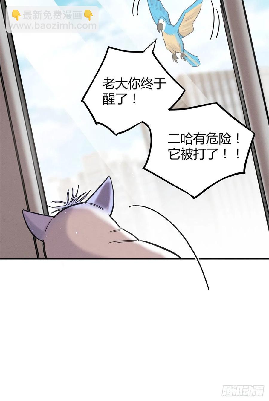 《今天也要努力当只猫》第46话 他舔我！ 第45页